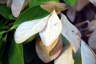 星空·综合体育-法甲防守阵型转换与对手控球比变化的动态关系研究，法国足球防守型中场